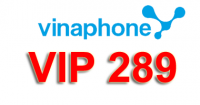 Gói cước trả sau Vinaphone VIP289 | Vinaphone TPHCM