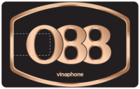 Cách đăng ký sim số 088 VinaPhone mới nhất