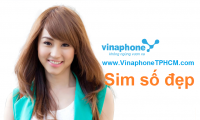 Chọn số đẹp VinaPhone 088 - 012 - 091 - 094 tại TP.Hồ Chí Minh