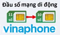 Các đầu số VinaPhone mới nhất 2024