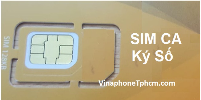 Sim PKI Là Gì? Khám Phá Bí Mật Đằng Sau Công Nghệ Bảo Mật Thông Tin Hàng Đầu